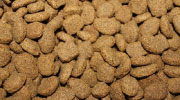 Doggy Treat Bites